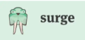 Surge logo
